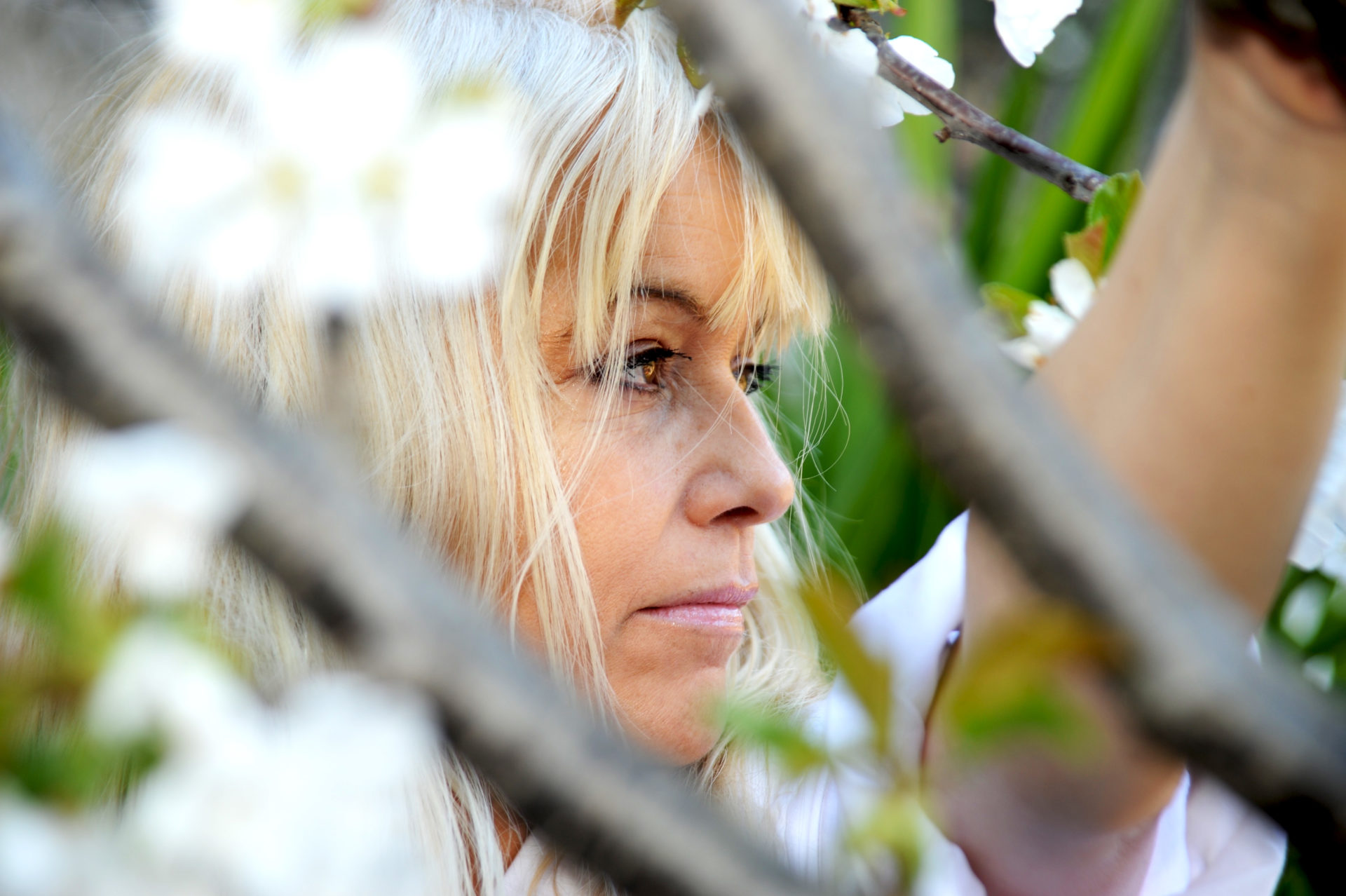CATHY CLARET, LA CANASTERA